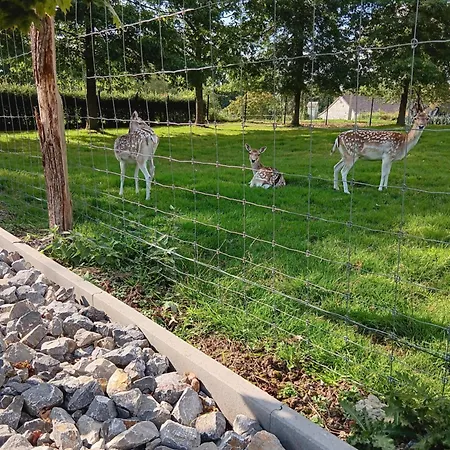 La Des Daines Bed & Breakfast *